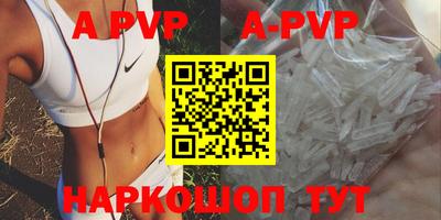 хмурый Тара