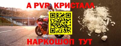 хмурый Тара